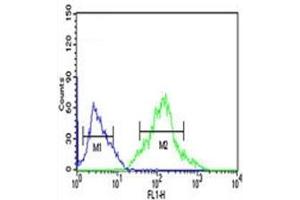 Flow Cytometry (FACS) image for anti-Forkhead Box P1 (FOXP1) (AA 650-677) antibody (ABIN3030993)