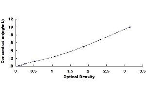 Adrenergic, beta-2-, Receptor, Surface (ADRB2) ELISA Kit