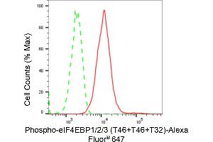 Flow cytometric analysis of Phospho-eIF4EBP1/2/3 (T46+T46+T32) expression in C2C12 cells using Phospho-eIF4EBP1/2/3 (T46+T46+T32) antibody (ABIN7798429), 1:2,000).