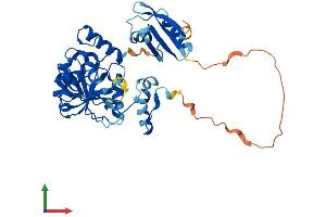 AlphaFold protein structure predicition of Human Recombinant MTHFSD Protein, UniprotID Q2M296