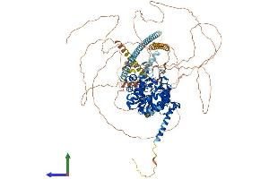 Protein Structure (PS) image for Histone Deacetylase 4 (HDAC4) (AA 1-1076) protein (His tag) (ABIN7564072)