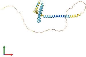 Protein Structure (PS) image for Receptor Accessory Protein 2 (REEP2) (AA 1-252) protein (His tag) (ABIN7551261)