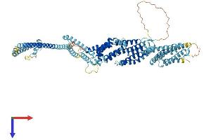COG2 Protein (AA 1-738) (His tag)