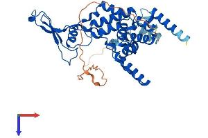 MRPS22 Protein (AA 1-360) (His tag)