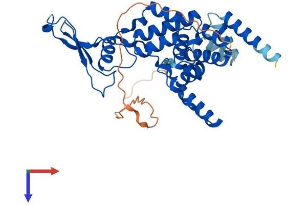 MRPS22 Protein (AA 1-360) (His tag)