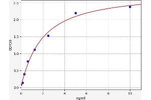 CCKAR ELISA Kit