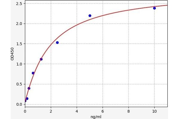 CCKAR ELISA Kit