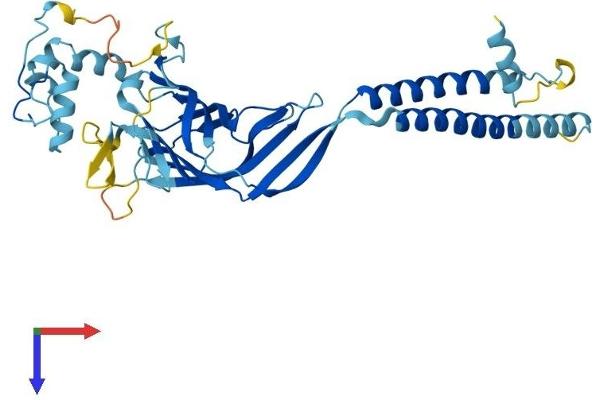 ERGIC3 Protein (AA 1-383) (His tag)