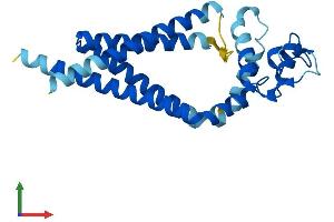 Protein Structure (PS) image for Tetraspanin 9 (TSPAN9) (AA 1-239) protein (His tag) (ABIN7558707)