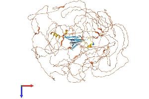 Periaxin Protein (PRX) (AA 1-1391) (His tag)