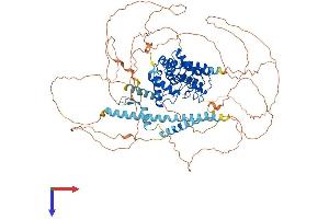 KN Motif and Ankyrin Repeat Domains 2 (KANK2) (AA 1-851) protein (His tag)