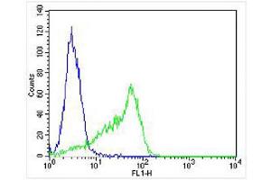 Overlay histogram showing HT-29 cells stained with Antibody (green line).