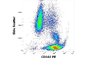 Flow cytometry surface staining pattern of human peripheral whole blood stained using anti-human CD102 (CBR-IC2/2) PE antibody (10 μL reagent / 100 μL of peripheral whole blood). (ICAM2 Antikörper  (PE))