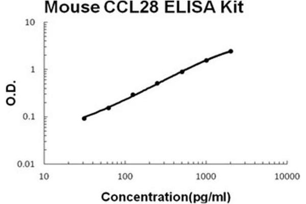 CCL28 ELISA 试剂盒