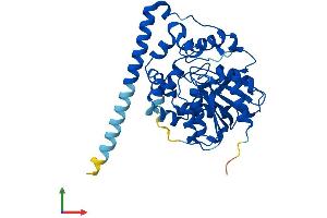 Protein Structure (PS) image for Epoxide Hydrolase 4 (EPHX4) (AA 1-362) protein (His tag) (ABIN7547452)