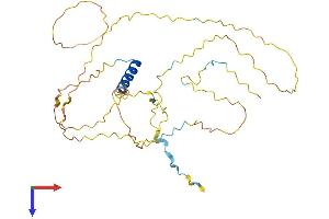 RAD51AP1 Protein (AA 1-337) (His tag)