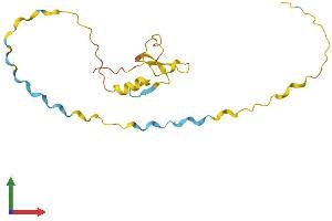 AlphaFold protein structure predicition of Mouse Recombinant Mobp Protein, UniprotID Q9D2P8 (MOBP Protein (AA 1-170) (His tag))