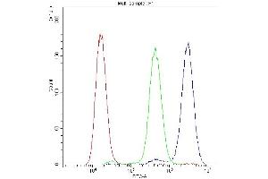 Flow Cytometry analysis of U251 cells using anti-ADO antibody (ABIN4886431). (ADO Antikörper  (AA 49-261))