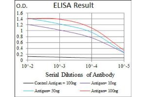 Red: Control Antigen (100ng) ; Purple: Antigen (10ng) ; Green: Antigen (50ng) ; Blue: Antigen (100ng). (CD166 Antikörper  (AA 48-216))