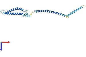 MIS12 Protein (AA 1-205) (His tag)