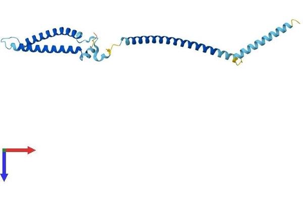 MIS12 Protein (AA 1-205) (His tag)