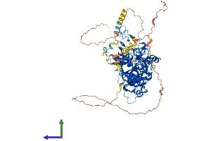Protein Structure (PS) image for Lethal(3) Malignant Brain Tumor-Like Protein 2 (L3MBTL2) (AA 1-703) protein (His tag) (ABIN7563476)