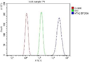 Flow Cytometry analysis of A431 cells using anti-MTA2 antibody (ABIN7599519).