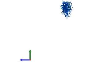 Protein Structure (PS) image for Four and A Half LIM Domains 2 (FHL2) (AA 1-279) protein (His tag) (ABIN7547663)
