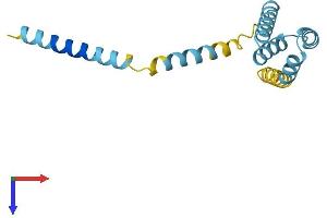 TOMM20 Protein (AA 1-145) (His tag)