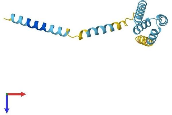 TOMM20 Protein (AA 1-145) (His tag)