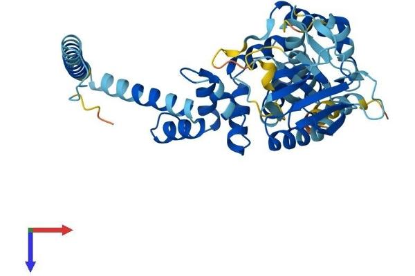 Cytohesin 1 Protein (CYTH1) (AA 1-398) (His tag)