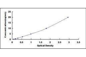 Estrogen Receptor 2 (ESR2) ELISA Kit