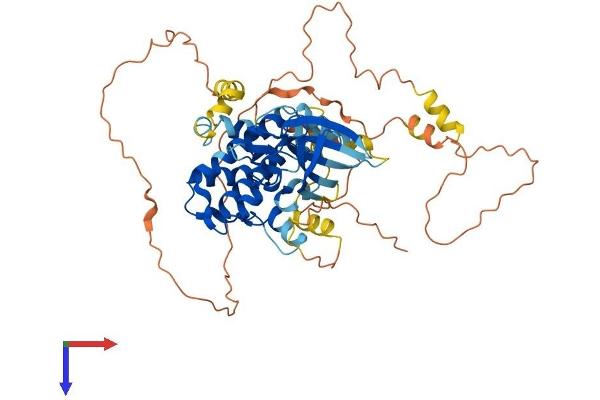NEK3 Protein (AA 1-511) (His tag)