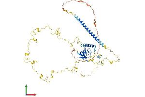 AlphaFold protein structure predicition of Mouse Recombinant Cttn Protein, UniprotID Q60598