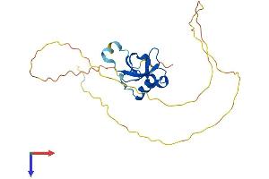 HDGF Protein (AA 1-240) (His tag)