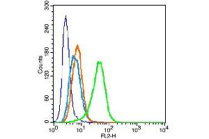 U-937 cells were fixed with 2% PFA for 10min at room temperature, and incubated in 5% BSA blocking buffer for 30 min at room temperature. (Perilipin A/B Antikörper)