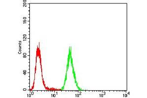Flow Cytometry (FACS) image for anti-Chromobox Homolog 4 (CBX4) (AA 397-514) antibody (ABIN5883842) (CBX4 Antikörper  (AA 397-514))