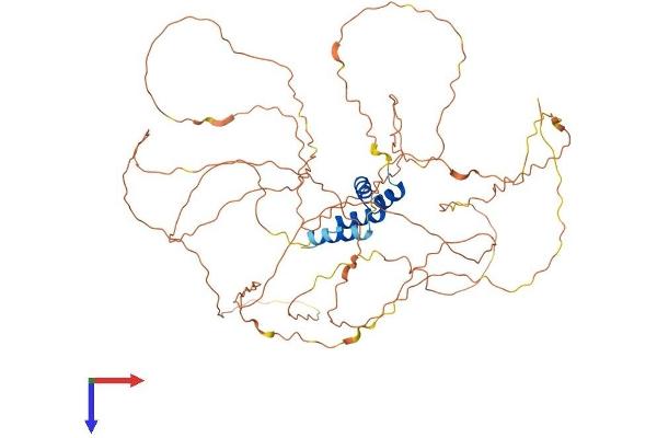 RSC1A1 Protein (AA 1-617) (His tag)