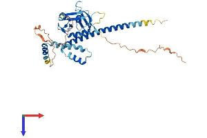 PHF11 Protein (AA 1-331) (His tag)