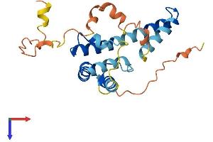 MREG Protein (AA 1-214) (His tag)