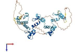 ZNF620 Protein (AA 1-422) (His tag)