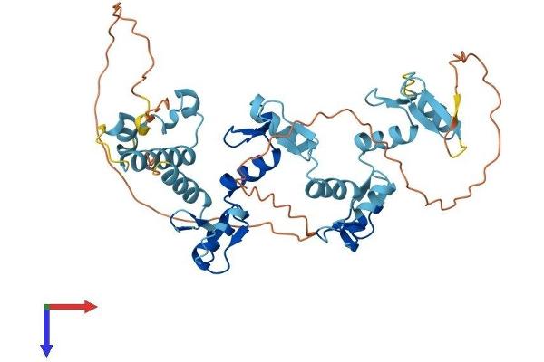 ZNF620 Protein (AA 1-422) (His tag)