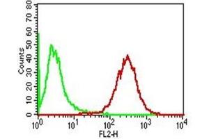 Flow Cytometry of human Adipophilin on PBMC. (ADRP Antikörper  (AA 249-376))