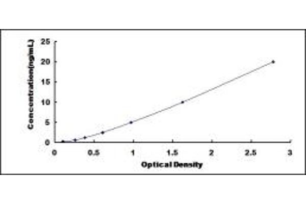 GP2 ELISA Kit