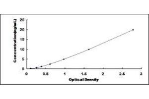 Typical standard curve (GP2 ELISA Kit)