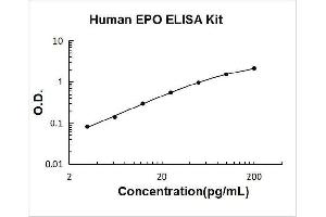 Typical Standard Curve