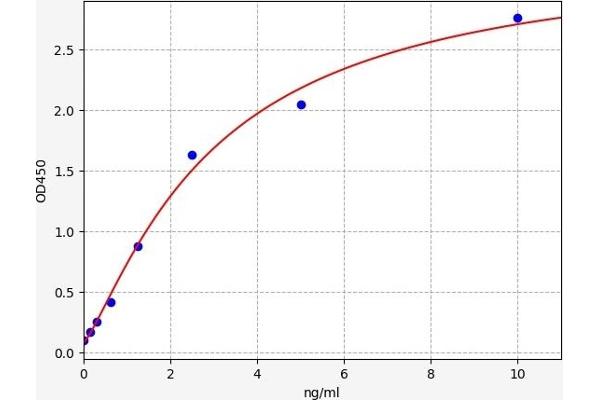 Prostaglandin E Synthase ELISA Kit