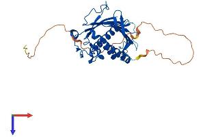 PITPNC1 Protein (AA 1-332) (His tag)