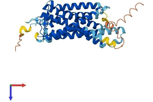 OPN5 Protein (AA 1-354) (His tag)