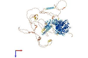 STARD13 Protein (AA 1-1113) (His tag)